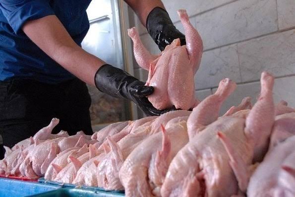قیمت جدید مرغ امروز یکشنبه ۲۸ تیر