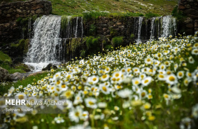 جاده‌ای میان دو اقلیم / عکس