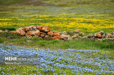 جاده‌ای میان دو اقلیم / عکس
