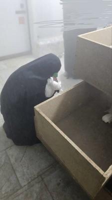جنایت آمریکا دردبستان میناب