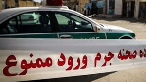 ماجرای قتل ۲ سالمند؛ پرستار قلابی دستگیر شد