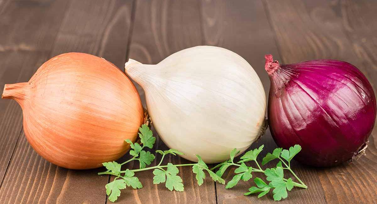 عاشق پیاز هستید این مطلب را بخوانید