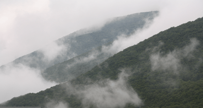 طبیعت تابستانی کوهستان چالوس