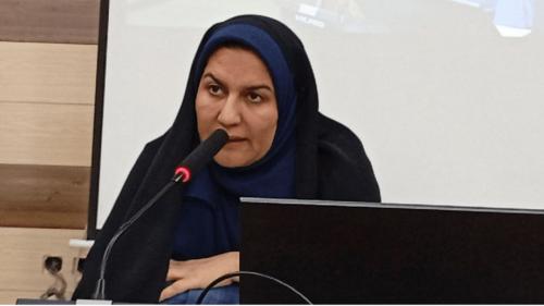 همه امکانات برای یافتن کودک مفقودشده دلفارد به میدان آمد؛ جست‌و‌جو بی‌وقفه ادامه دارد