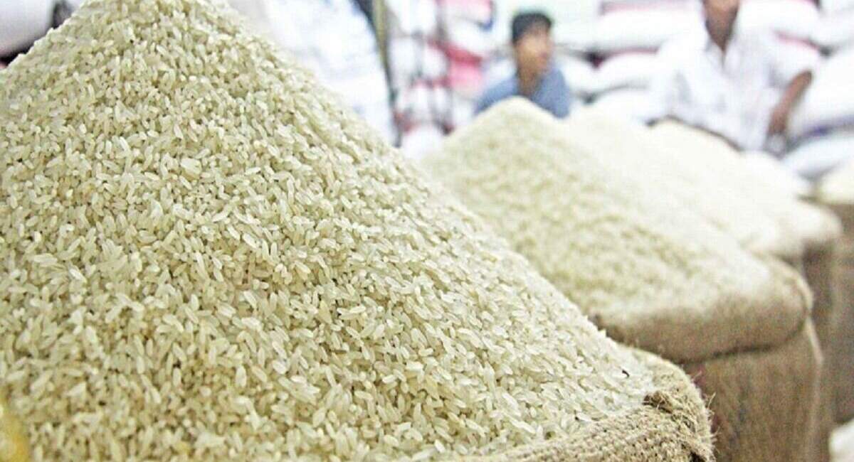قیمت جدید برنج در بازار 