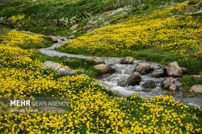 جاده ای میان دواقلیم