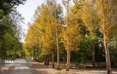 خزان درتابستان