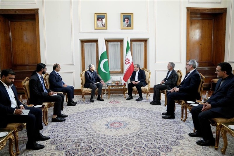 دیدار وزیر کشور پاکستان با عراقچی