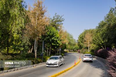خزان زود رس درمیانه تابستان