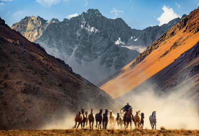 غرب وحشی از نگاه جیم کرانتز / عکس
