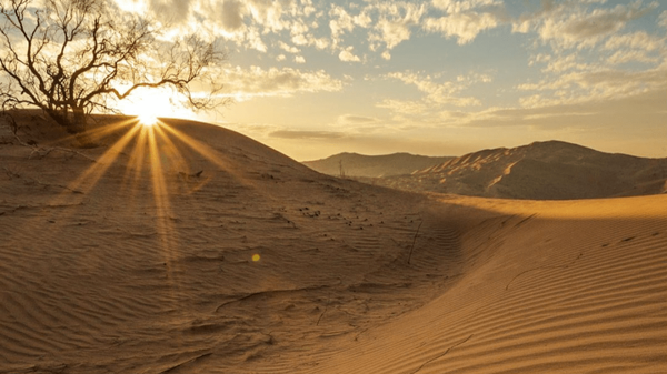 همه چیز حتی ریگ بیابان ذکر خدا می‌گویند