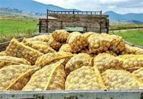 ممندپوعیت صادرات سیب‌زمینی تا پایان سال