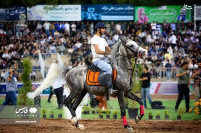 شو سواره اسبان اصیل ایران