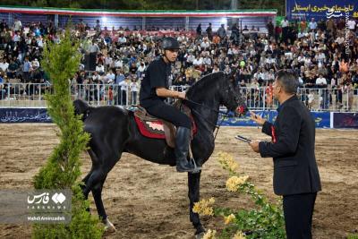 شو سواره اسبان اصیل ایران