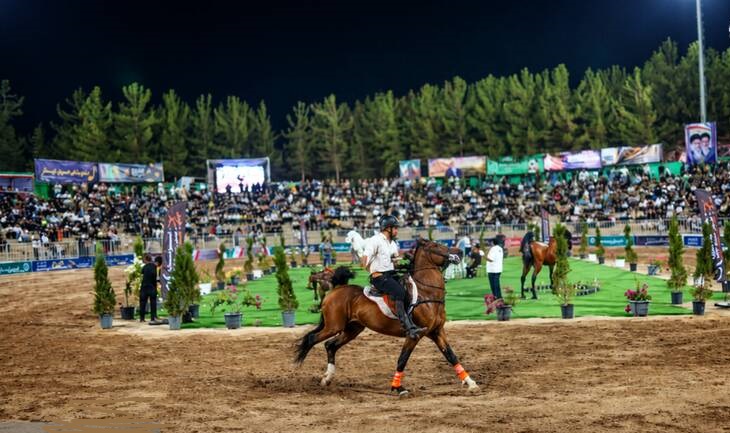 شو سواره اسبان اصیل ایران