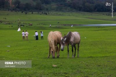  طبیعت زیبای سوادکوه  میزبان مسافران