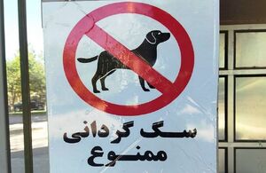  درگیری بر سر سگ‌، به قتل در ختم شد