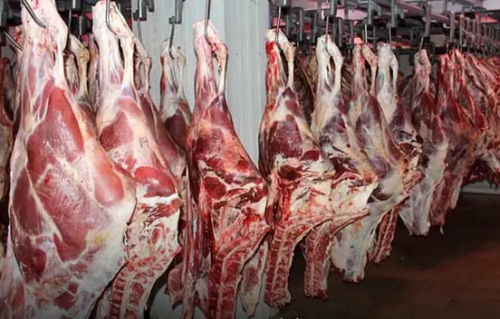  قیمت گوشت قرمز امروز چهارشنبه ۸ مهر ۱۴۰۵ 