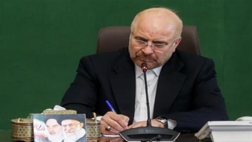 پیام رئیس مجلس در پی ترور پاسدار شهیده افسانه عقیلا 
