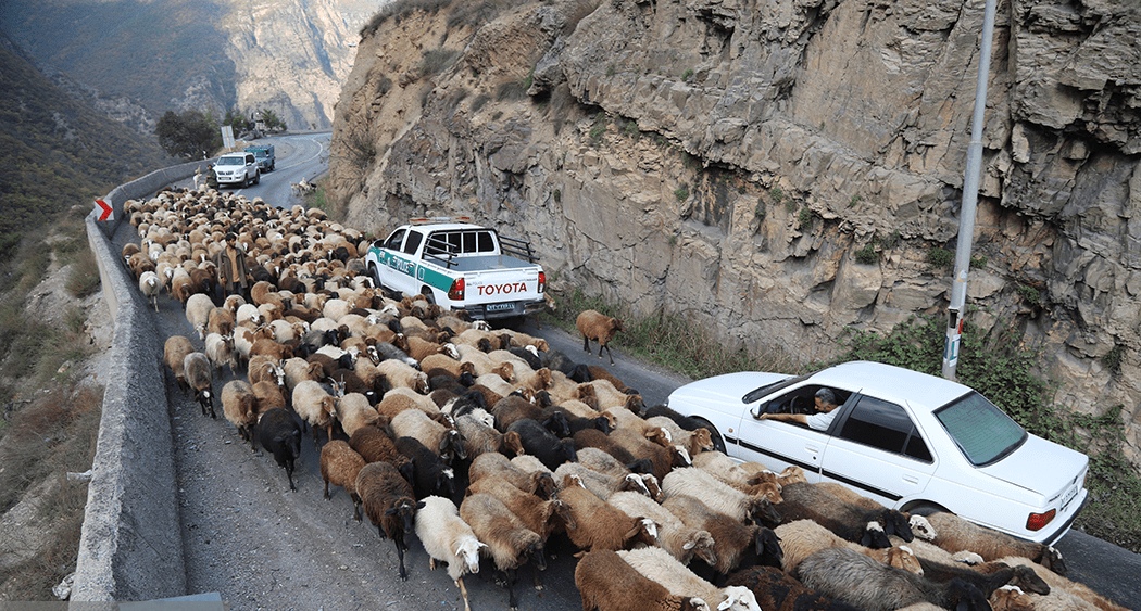 انسداد پر دردسر