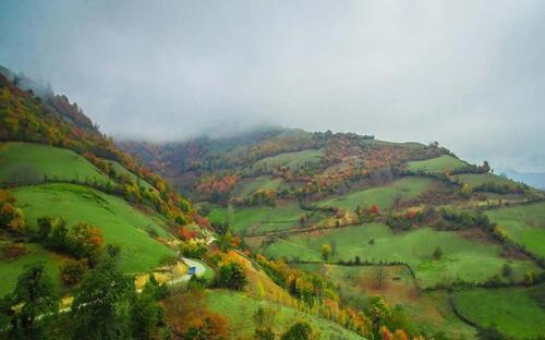 عکس/طبیعت پاییزی و زیبای مازندران 