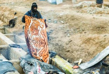  رابطه بابک زنجانی با اصغر فرهادی و گورخواب ها 