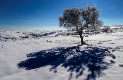 عکس/ سفیدپوشی خراسان شمالی و طبیعت برفی