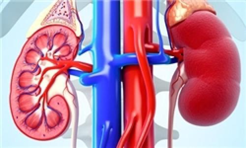 عفونت کلیه چه نشانه هایی دارد؟