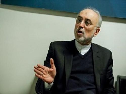 خرید هزار تن کیک زرد در آینده نزدیک از قزاقستان