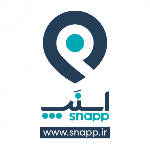 فیلم/ آیا اسنپ و تپسی تعطیل می شود؟ 