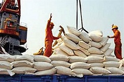 انتقاد کمیسیون کشاورزی به صفر شدن تعرفه برنج