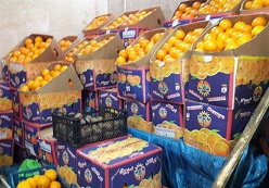 پرتقال‌ مصری در بازار شب عید
