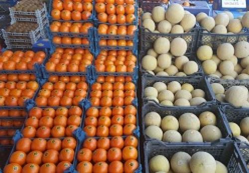 جدیدترین قیمت میوه در تره‌بار