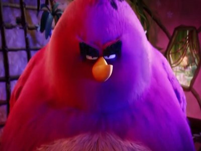 فیلم/دوبله خنده دار روی انیمیشن Angry Birds