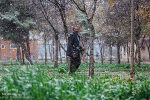 بارش باران بهاری در ۱۲ استان کشور