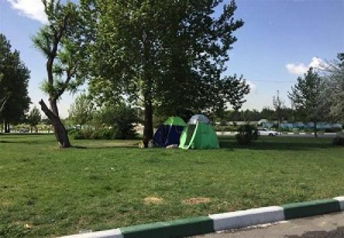 عکس/چادرنشینی برای حضور در جشن قهرمانی