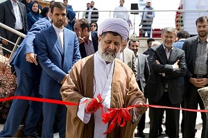 عکس/افتتاح زیپ لاین و پل معلق برج میلاد