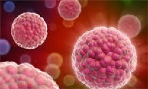 عوامل موثر و تاثیر گذار در ایجاد سرطان