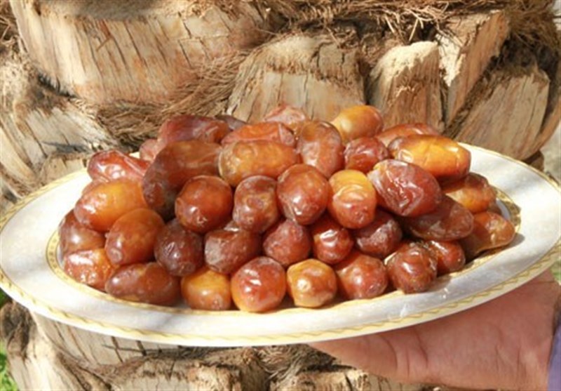  سود چند برابری دلالان از فروش خرما / دست نخل‌داران کوتاه است 