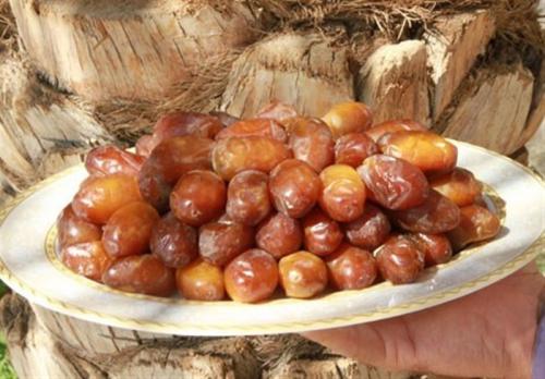 سود چند برابری دلالان از فروش خرما / دست نخل‌داران کوتاه است 