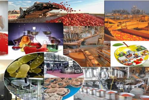  افزایش 8 درصدی صادرات محصولات صنایع غذایی