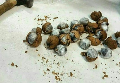 از داخل حلیم تریاک کشف شد!