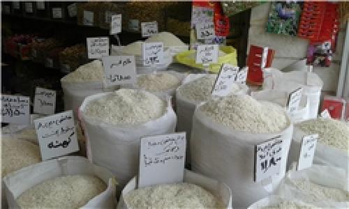 رفع ممنوعیت واردات برنج در فصل برداشت