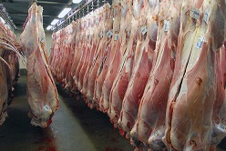 اشباع شدن بازار گوشت قرمز