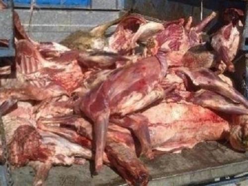 فروش گوشت چرخ‌‌‌کرده فاسد با رنگِ فرش!