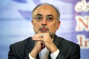 صالحی: ترامپ در توهم زندگی می‌کند