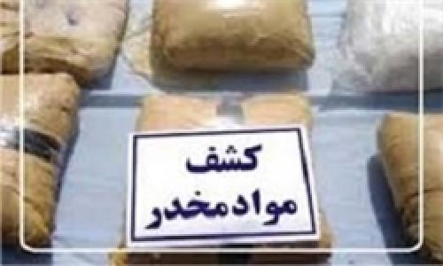 کشف و ضبط بوته‌های گراس پیش خرید شده از سوی باندهای مواد مخدر خارج از کشور