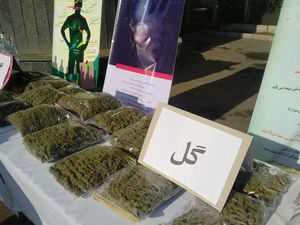 قیمت نجومی ماده مخدر گل
