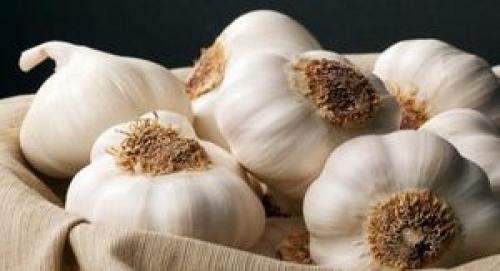  سیر پخته مفیدتر است یا خام؟