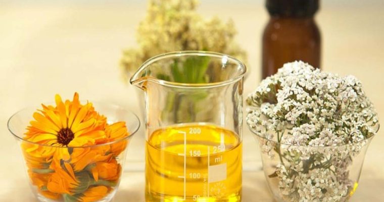 این شامپوی گیاهی را در منزل تهیه کنید + دستور تهیه